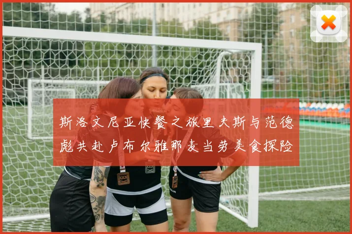 斯洛文尼亚快餐之旅里夫斯与范德彪共赴卢布尔雅那麦当劳美食探险